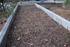 image: http://chadzilla.com/site/photos/garden/2012/_thumb100/early_beds.jpg
