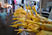 Chickens at the Market
